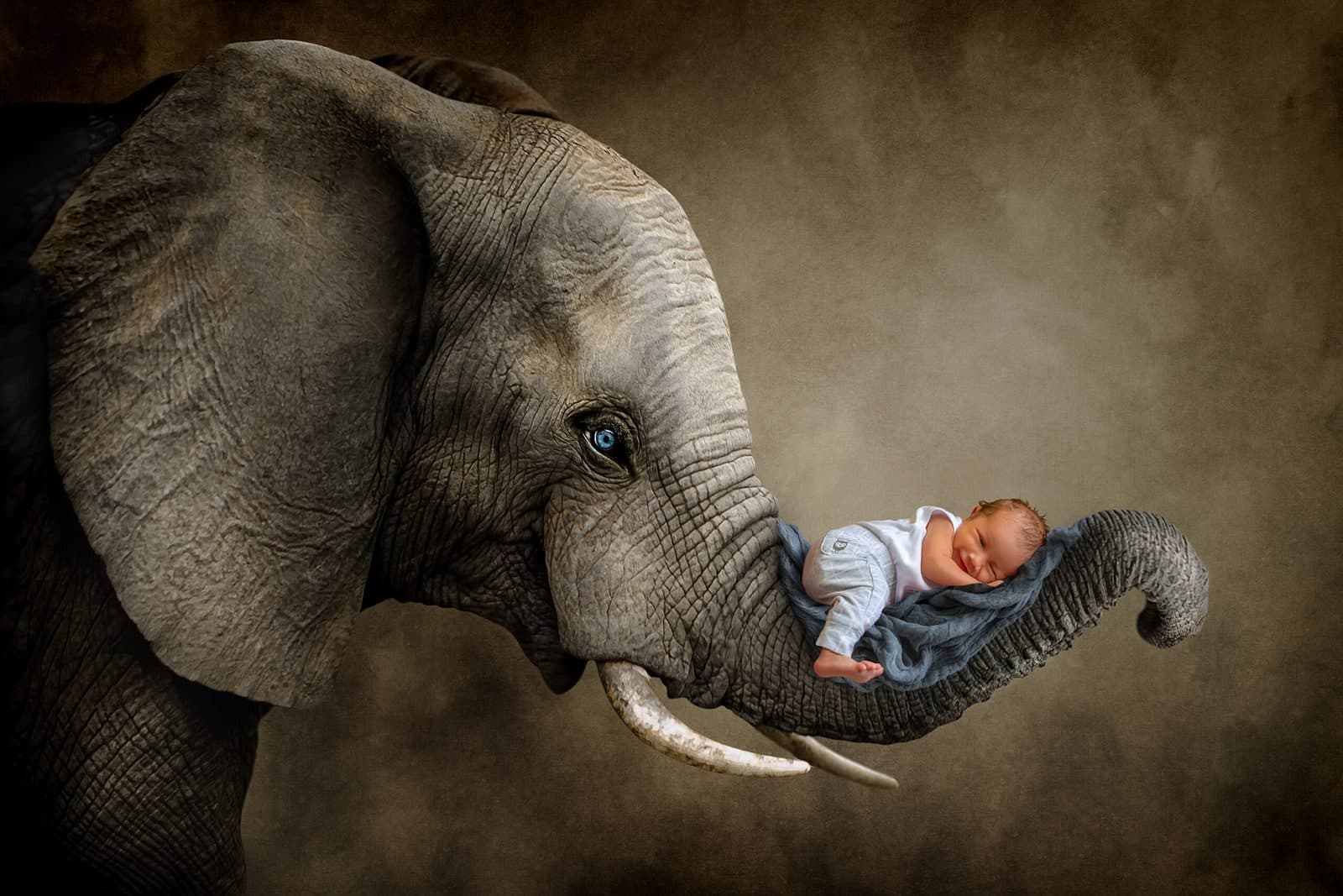 Newborn session by Bella Madre Photography, Canberra
