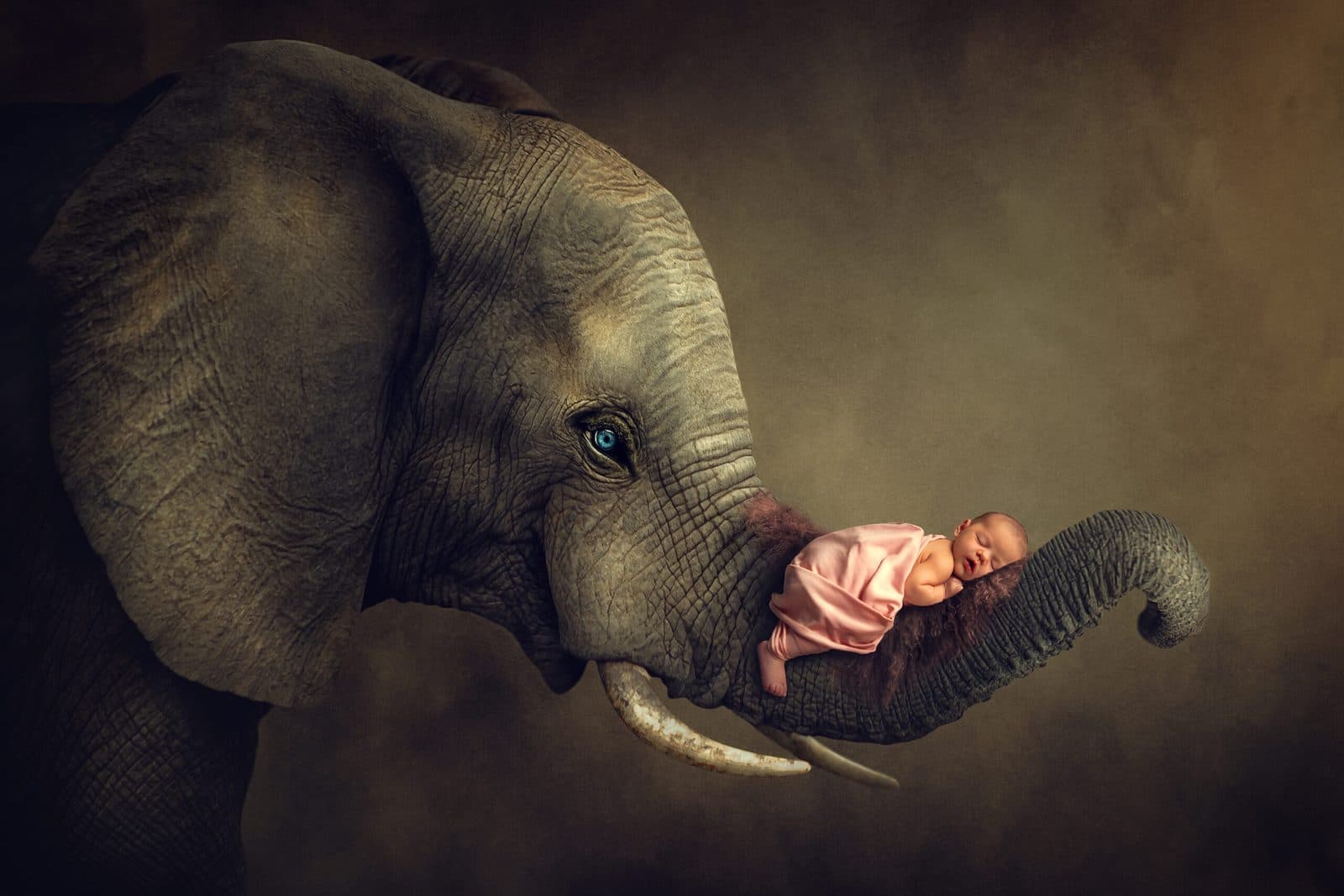 Magical kids portrait by Bella Madre Photography, Canberra — 30